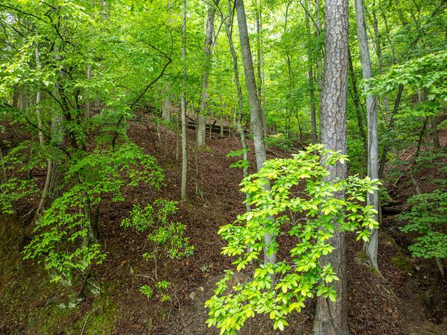 LT 2601 Parker Way, Ellijay, GA 30540