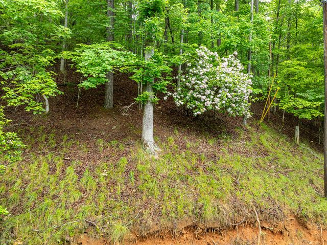 LT 2601 Parker Way, Ellijay, GA 30540