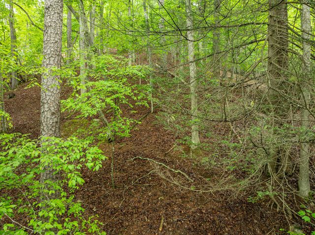 LT 2601 Parker Way, Ellijay, GA 30540