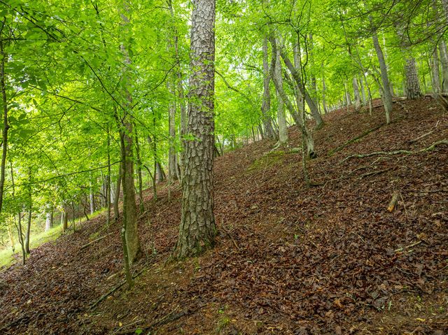 LT 2601 Parker Way, Ellijay, GA 30540