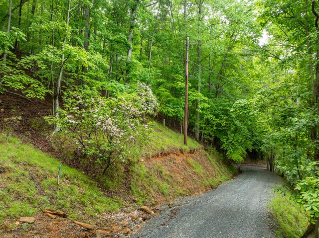 LT 2601 Parker Way, Ellijay, GA 30540