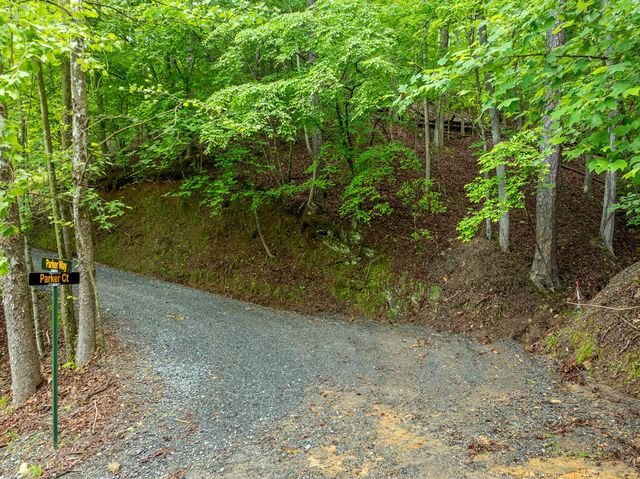 LT 2601 Parker Way, Ellijay, GA 30540