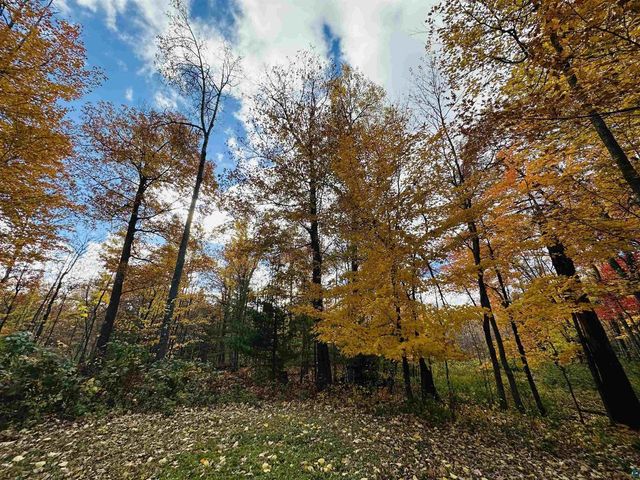 6955 Kolling Rd, Iron River, WI 54847