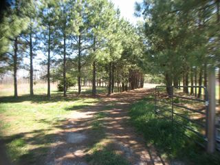 15316 Northview Road, Elkins, AR 72727