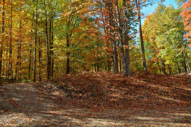 Cross Country Trail, East Bay Twp, MI 49686