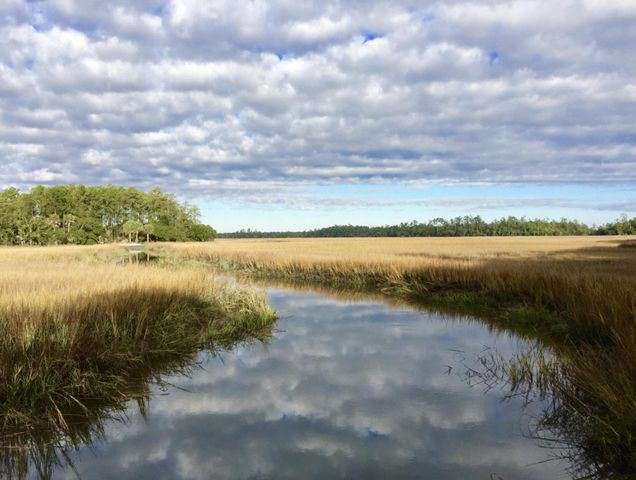 738 Hibbens Grant Boulevard, Mount Pleasant, SC 29464