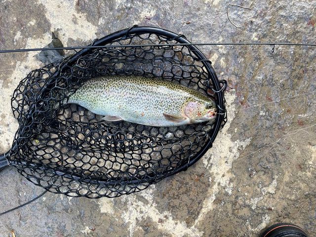 46 Rivers End Way, Suches, GA 30572