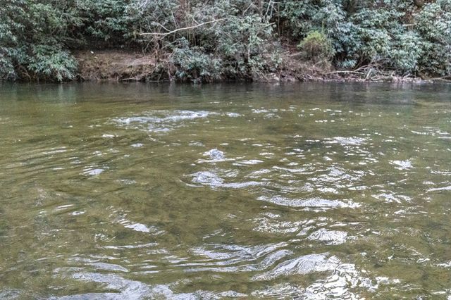 46 Rivers End Way, Suches, GA 30572