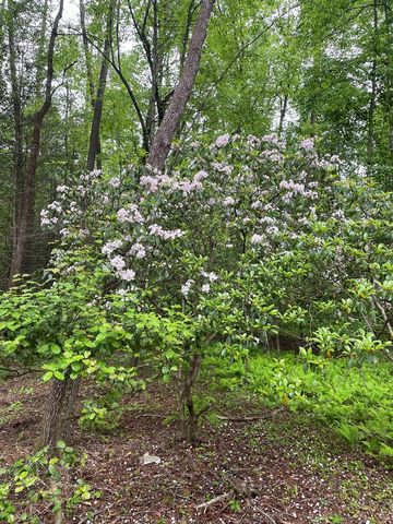 46 Rivers End Way, Suches, GA 30572