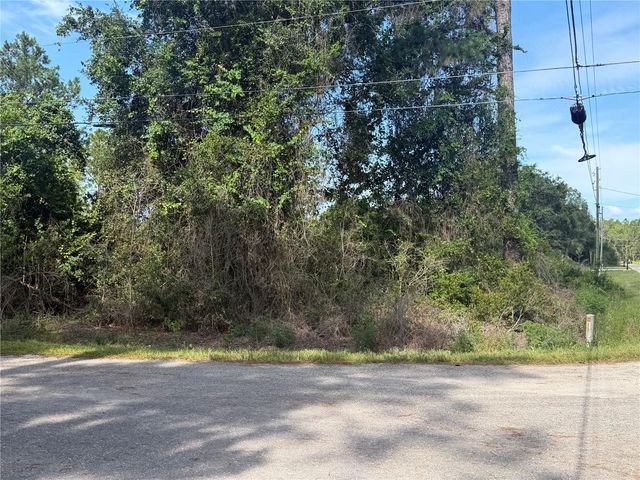 TBD MALAUKA TERRACE, Ocklawaha, FL 32179