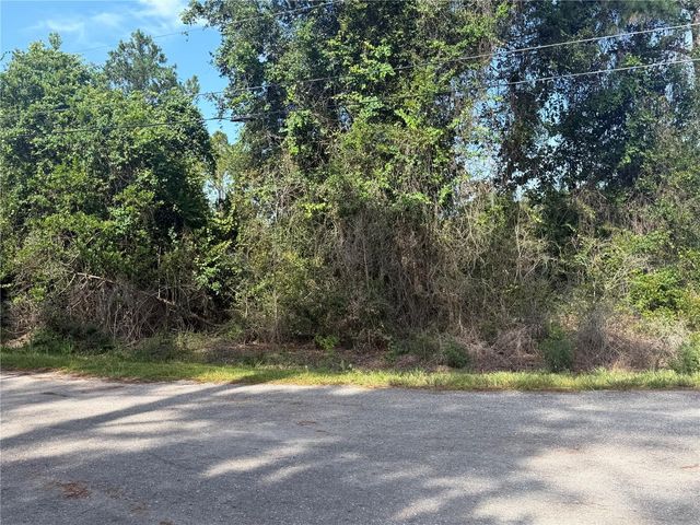 TBD MALAUKA TERRACE, Ocklawaha, FL 32179