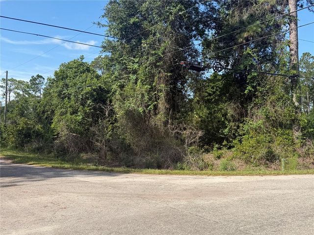 TBD MALAUKA TERRACE, Ocklawaha, FL 32179