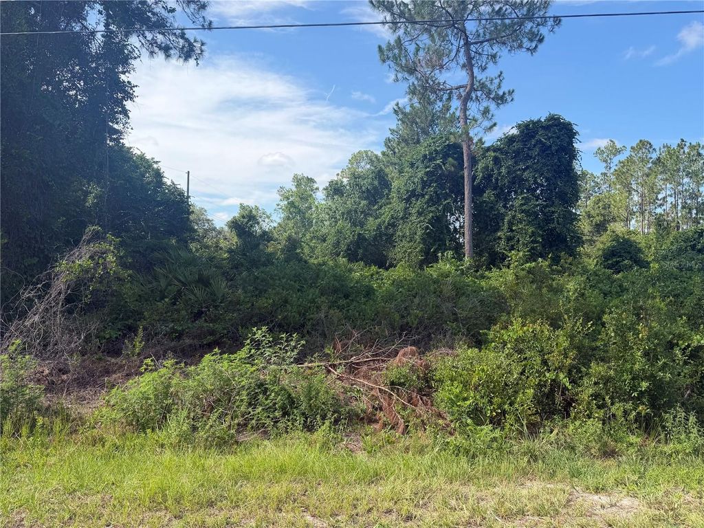 TBD MALAUKA TERRACE, Ocklawaha, FL 32179
