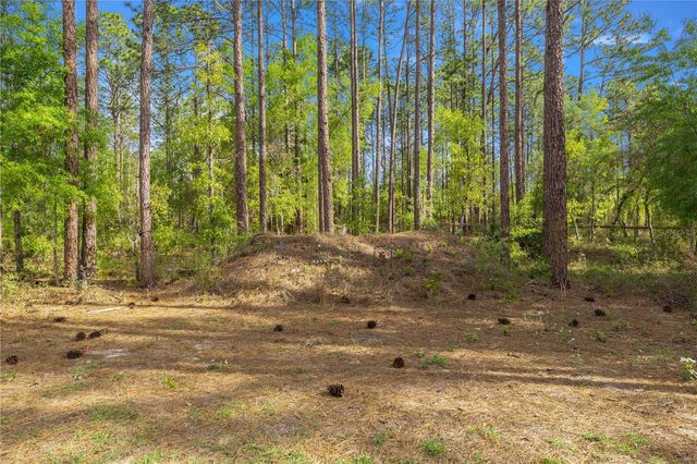 13131 SW 73RD STREET, Ocala, FL 34481