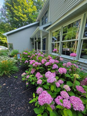 14130 Wildwood Drive, Big Rapids, MI 49307