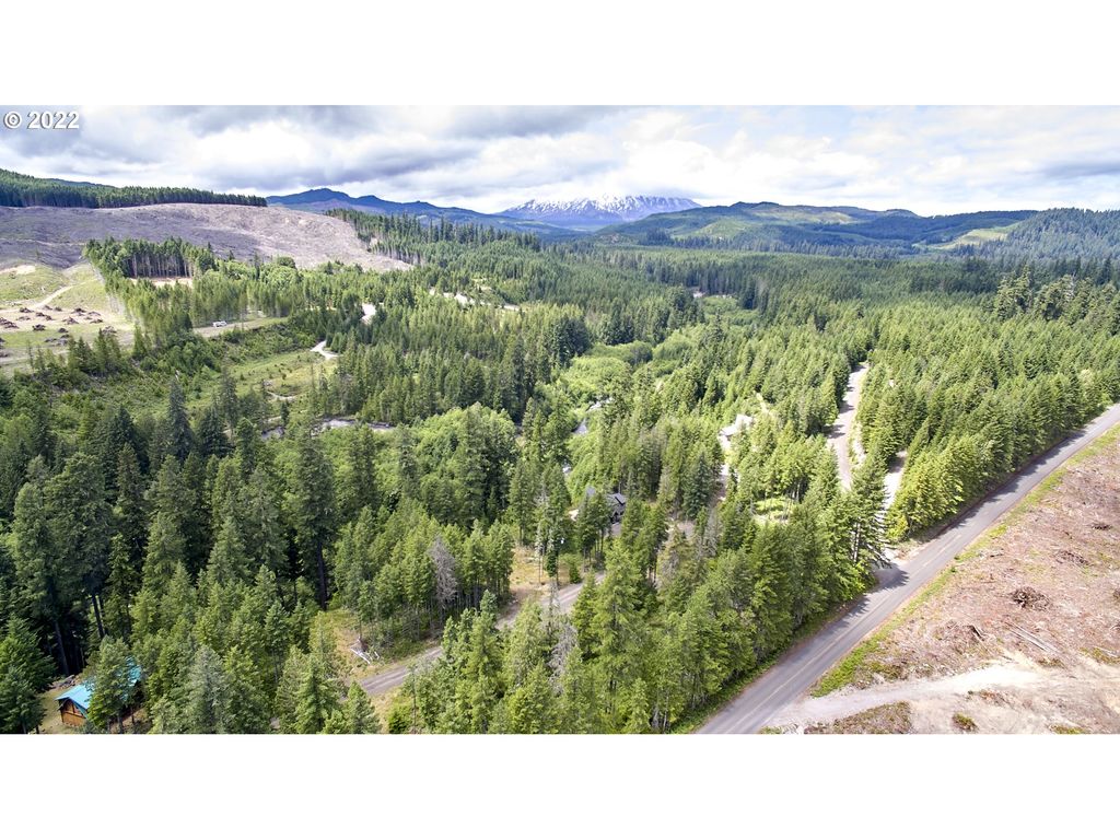 1 Lodgepole Ln, Cougar, WA 98616