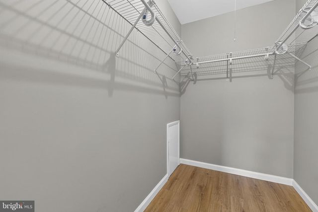 18733 CURRY POWDER LN, Germantown, MD 20874