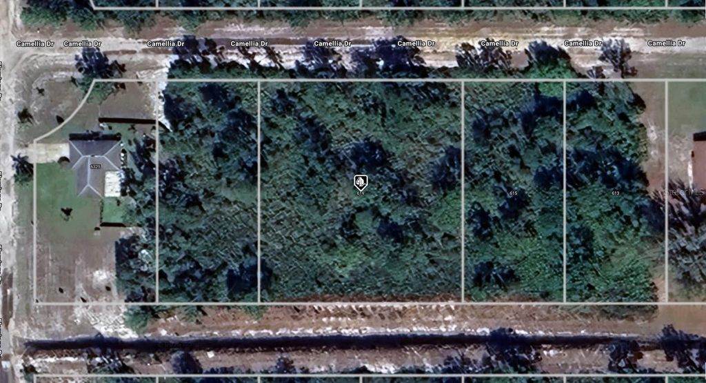 619 CAMELLIA DRIVE, Indian Lake Estates, FL 33855