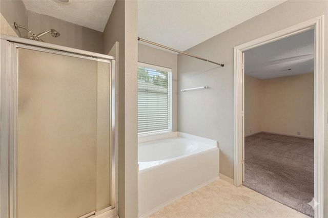 17502 S Summit Canyon Drive, Houston, TX 77095