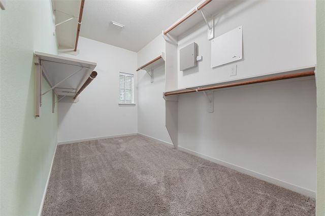 17502 S Summit Canyon Drive, Houston, TX 77095