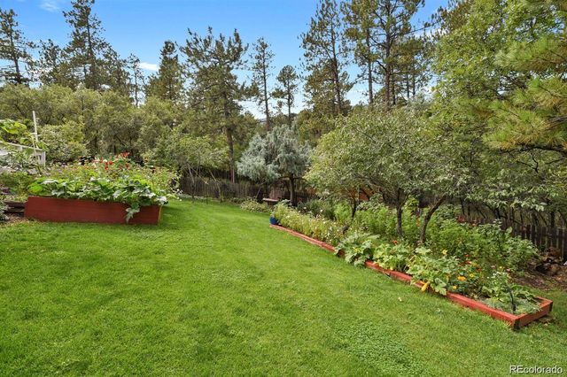 4693 Cheyenne Drive, Larkspur, CO 80118