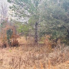 Tbd Woodward Dr, Montmorenci, SC 29839