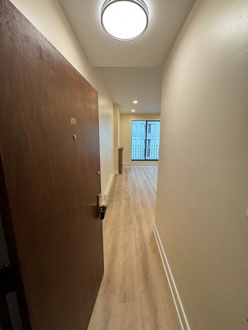 444 N State Street 3E, Chicago, IL 60654