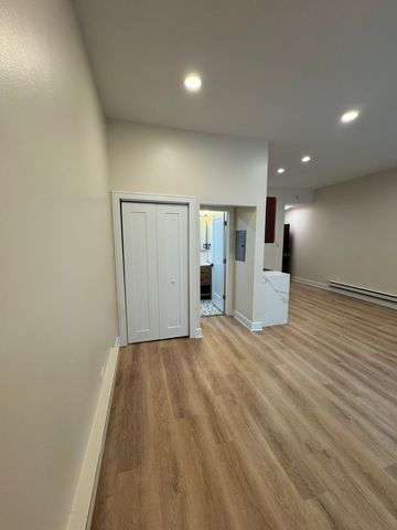 444 N State Street 3E, Chicago, IL 60654