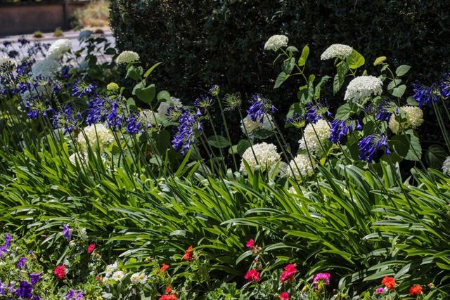 71 Bay Tree Lane, Los Altos, CA 94022