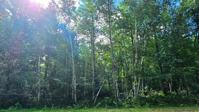 TBD Flower Trail, Breezy Point, MN 56472