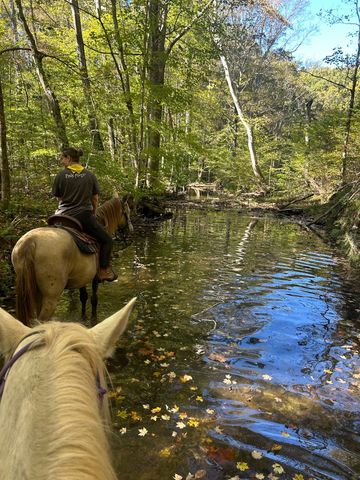 7139 Kingston Rd, Fairview, TN 37062