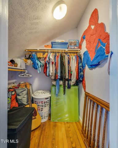 812 West Maple Street, Johnson City, TN 37604