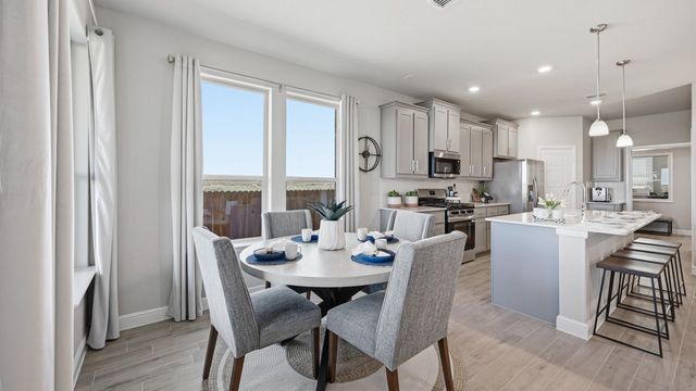 133 RINGTRAIL Drive, Rhome, TX 76078