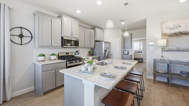 133 RINGTRAIL Drive, Rhome, TX 76078