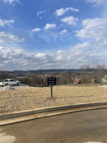 225 Berry Hunter Lane, Franklin, TN 37067