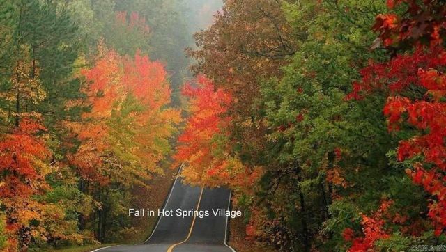 9 Jabali Way, Hot Springs Village, AR 71909