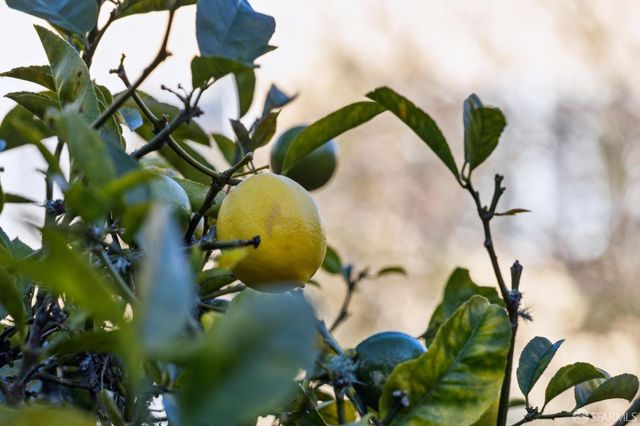 1846 20th Avenue, San Francisco, CA 94122