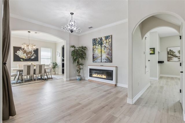 32628 VIEW HAVEN LANE, Sorrento, FL 32776