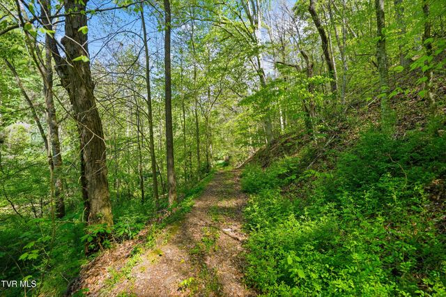 2235 Wampler Hollow Road, Big Stone Gap, VA 24219