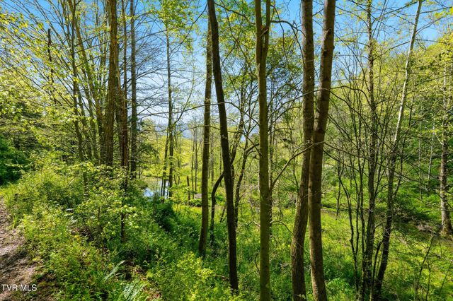 2235 Wampler Hollow Road, Big Stone Gap, VA 24219