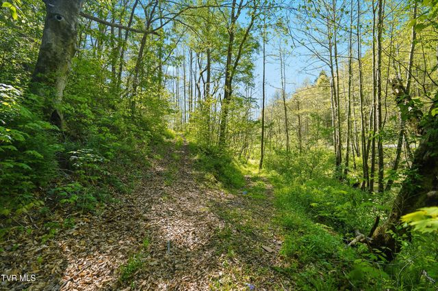 2235 Wampler Hollow Road, Big Stone Gap, VA 24219