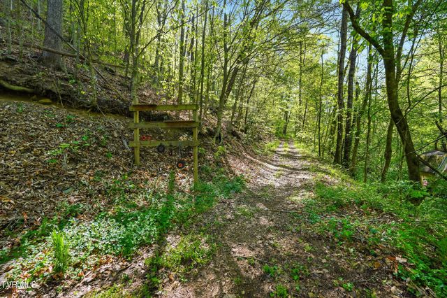 2235 Wampler Hollow Road, Big Stone Gap, VA 24219
