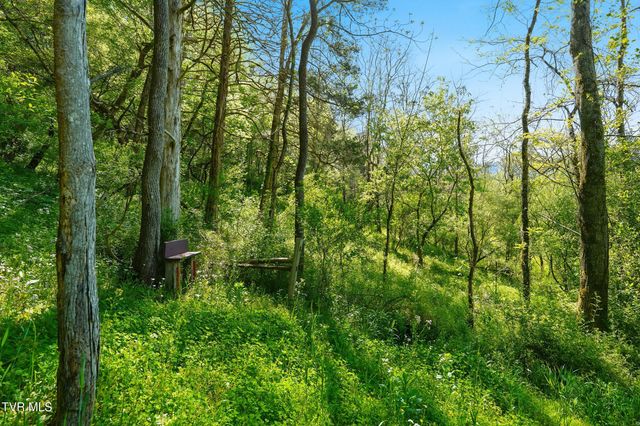2235 Wampler Hollow Road, Big Stone Gap, VA 24219