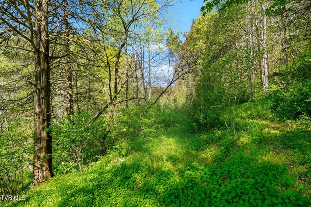 2235 Wampler Hollow Road, Big Stone Gap, VA 24219