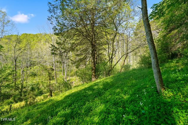 2235 Wampler Hollow Road, Big Stone Gap, VA 24219