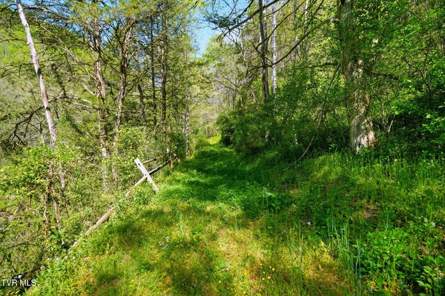 2235 Wampler Hollow Road, Big Stone Gap, VA 24219