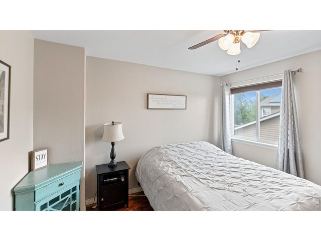 633 Shoshone Ct, Windsor, CO 80550