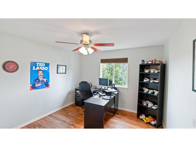 633 Shoshone Ct, Windsor, CO 80550