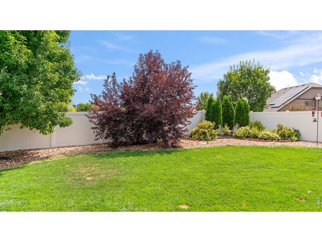 633 Shoshone Ct, Windsor, CO 80550