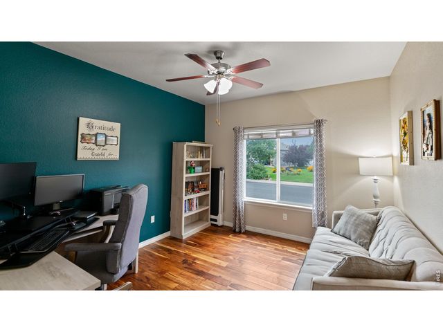 633 Shoshone Ct, Windsor, CO 80550